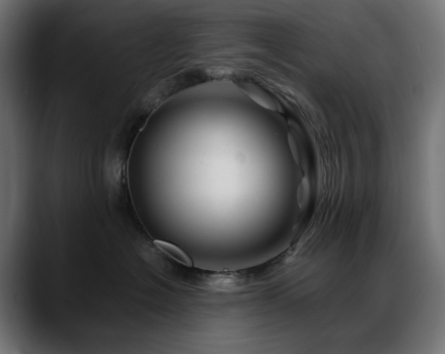 X0000088620574200705251243