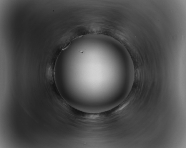 X0000088620575200705251243