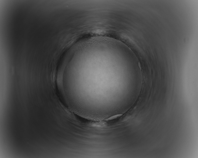 X0000088620576200705251243