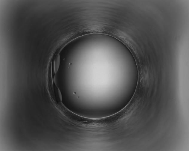 X0000088620578200705251243