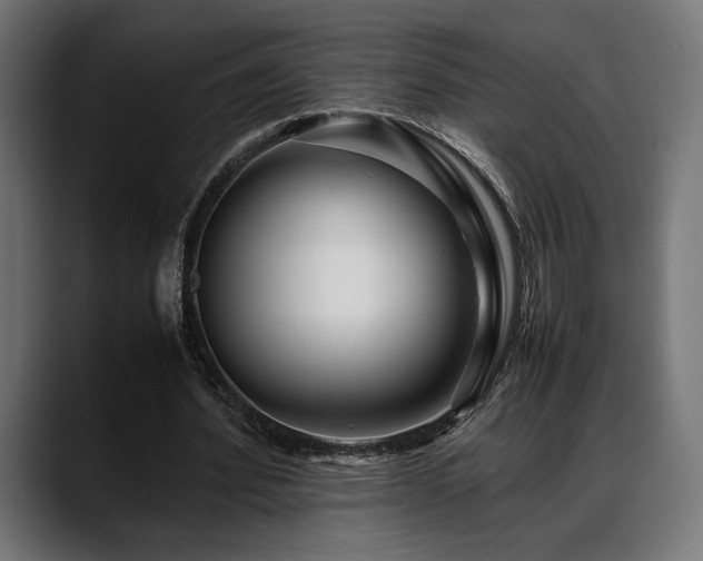 X0000088620580200705251243