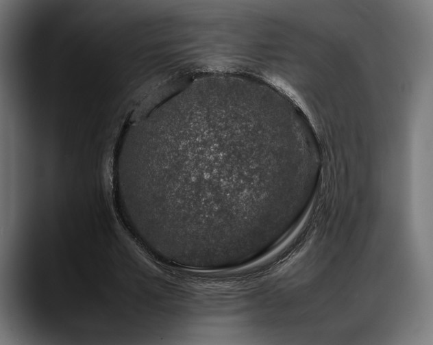 X0000088620581200705251243