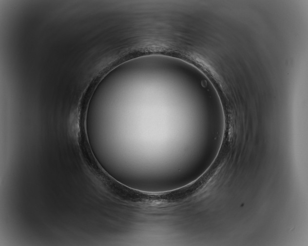 X0000088620582200705251243