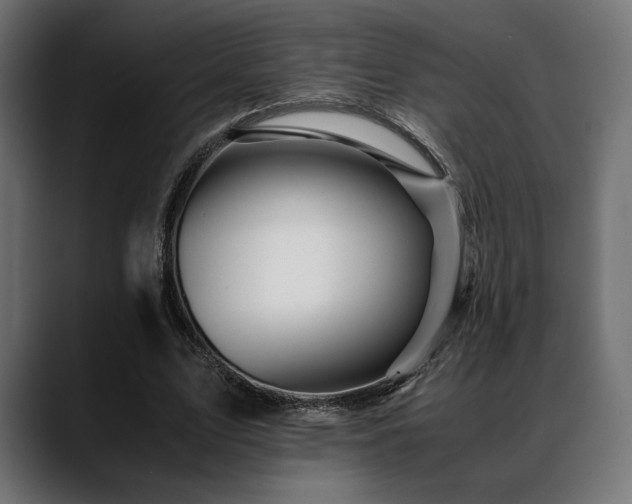 X0000088620583200705251243