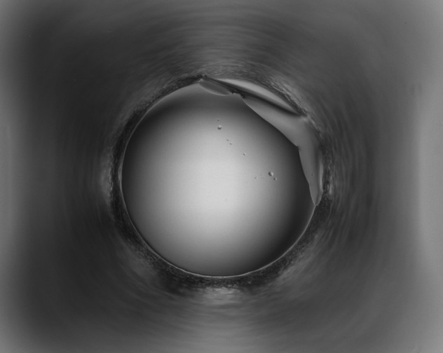X0000088620586200705251243