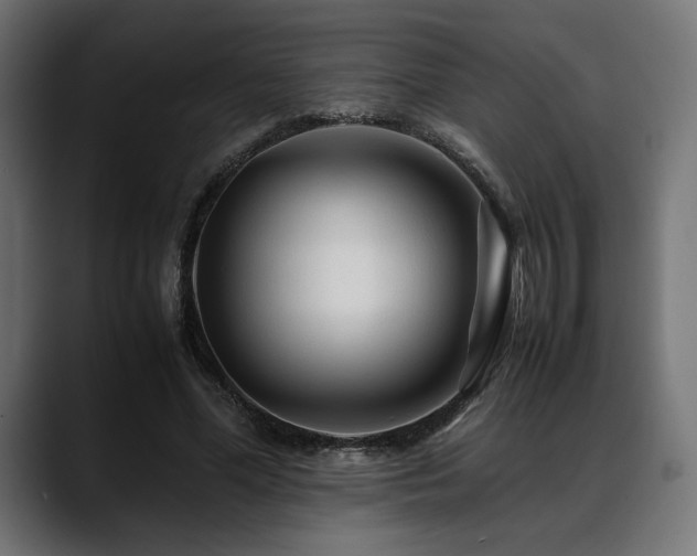 X0000088620588200705251243