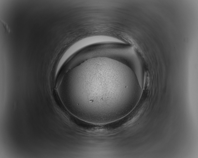 X0000088620589200705251243