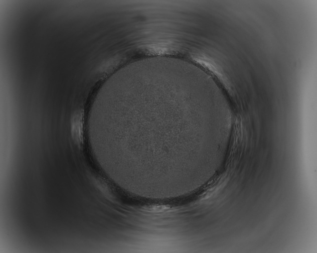 X0000088620590200705251243
