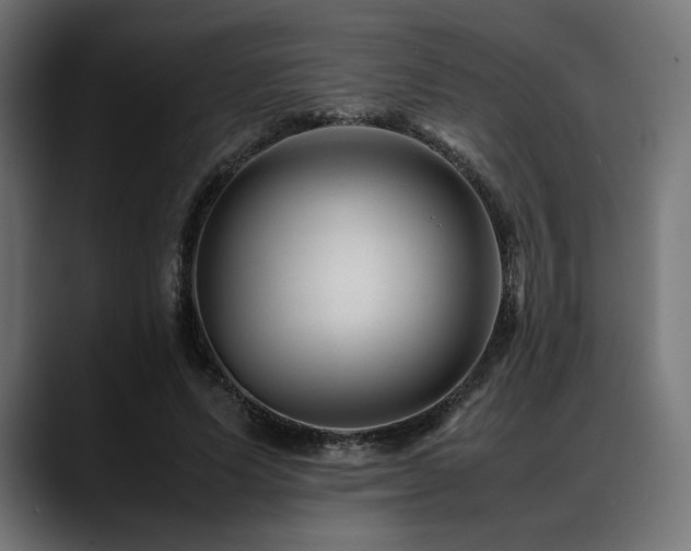 X0000088620591200705251243