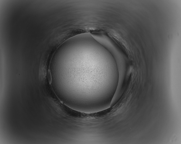 X0000088620593200705251243