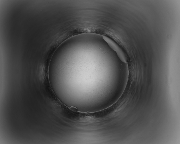 X0000088620594200705251243
