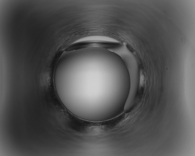 X0000088620595200705251243