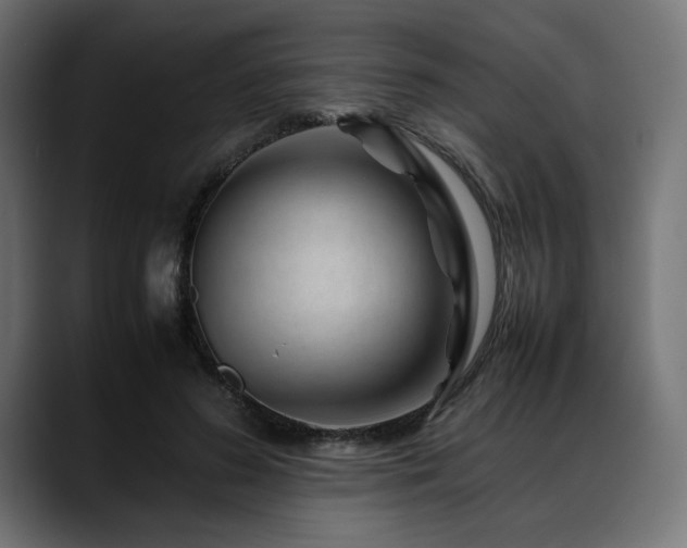 X0000088620596200705251243