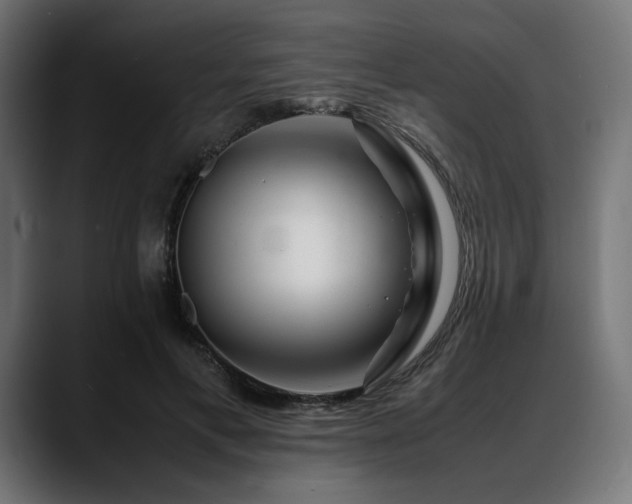 X0000088620597200705251243