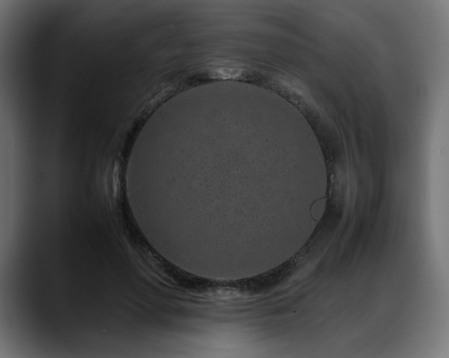 X0000088620598200705251243