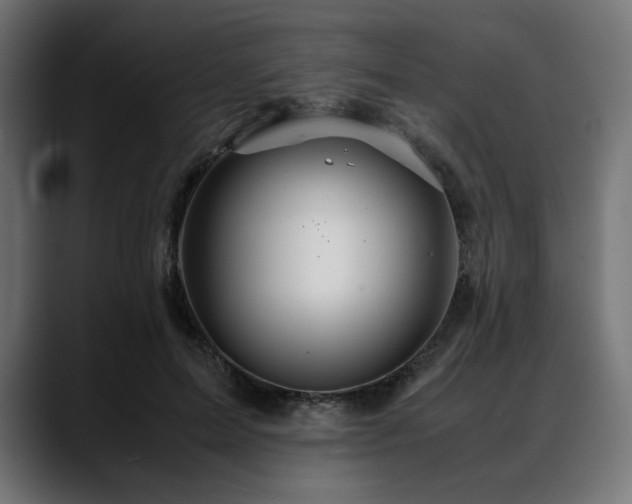 X0000088620599200705251243
