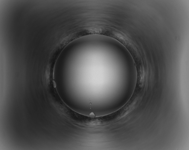 X0000088620600200705251243