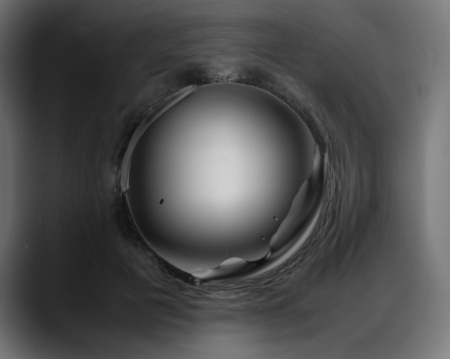 X0000088620601200705251243