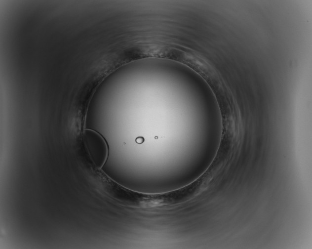X0000088620602200705251243