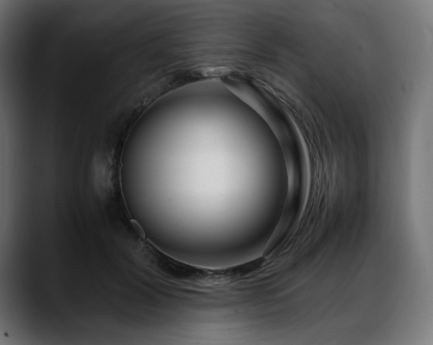 X0000088620604200705251243