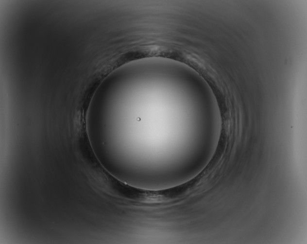 X0000088620605200705251242