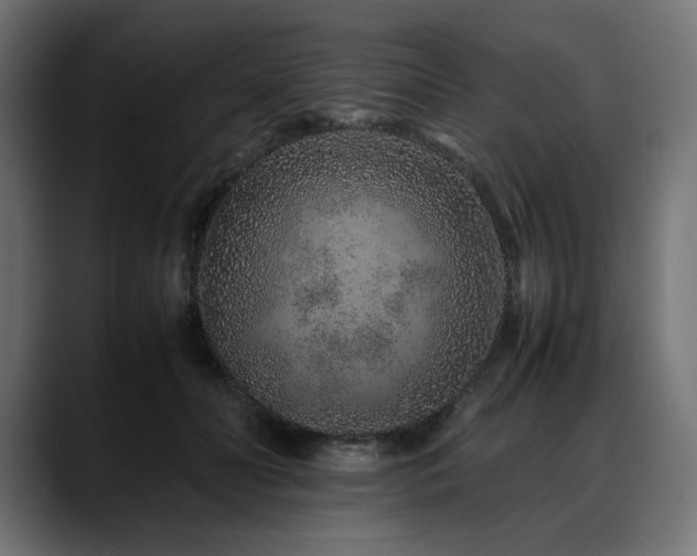 X0000088620606200705251242