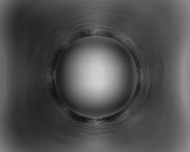 X0000088620607200705251242