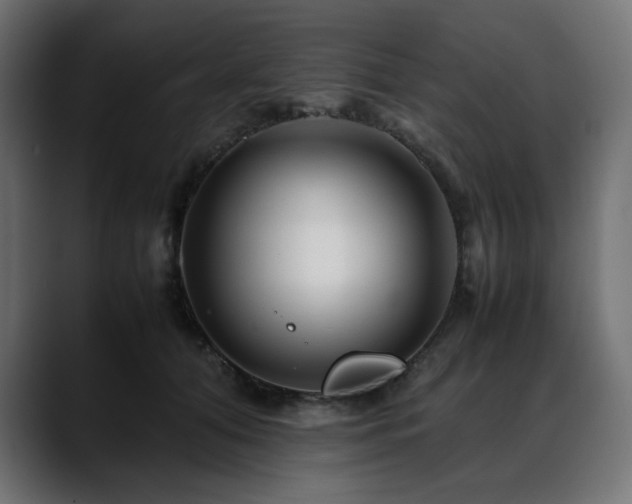 X0000088620608200705251242