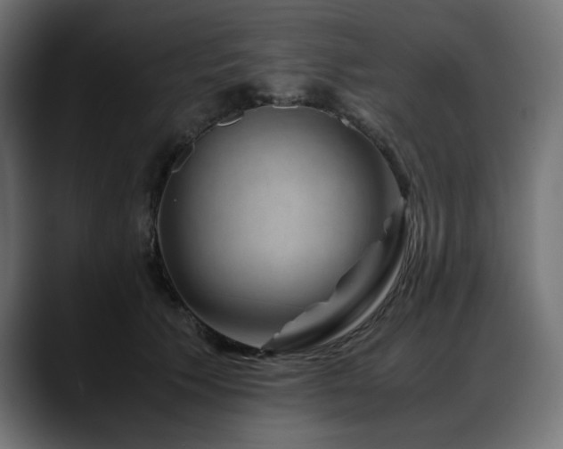 X0000088620609200705251242
