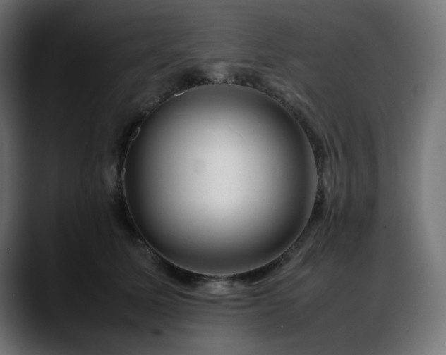 X0000088620611200705251242