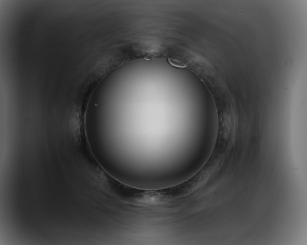 X0000088620612200705251242