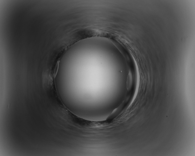 X0000088620613200705251242