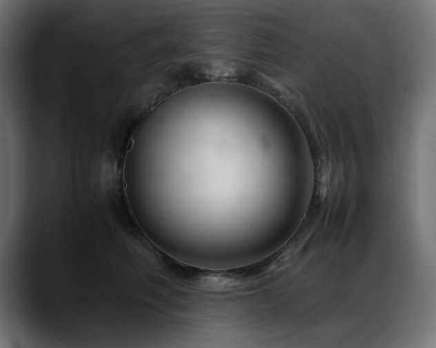 X0000088620614200705251242