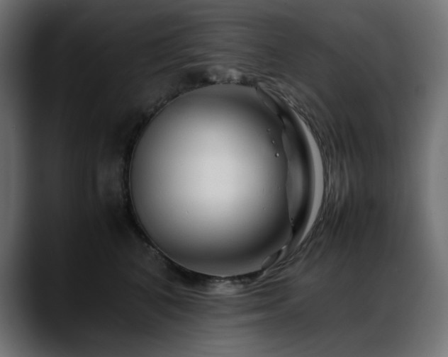 X0000088620616200705251242