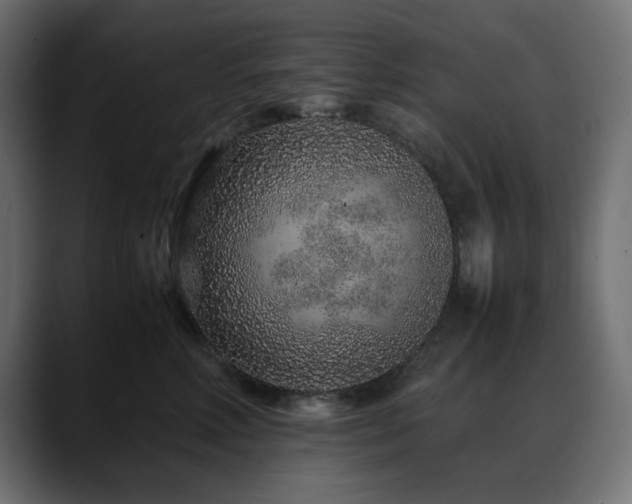 X0000088620618200705251242