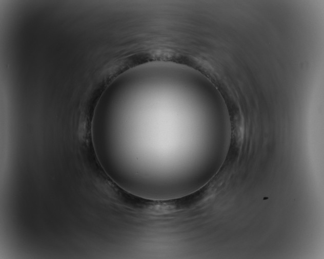 X0000088620619200705251242