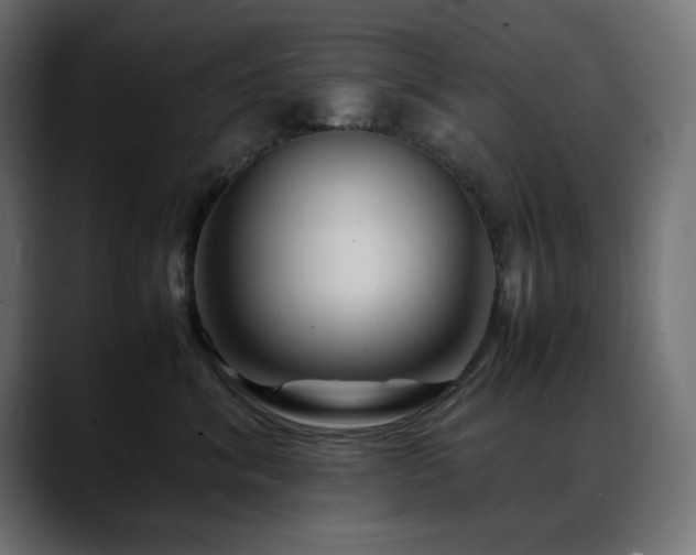X0000088620620200705251242