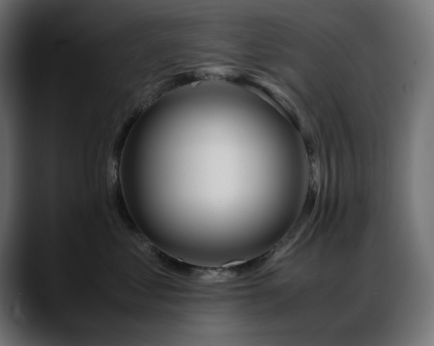 X0000088620621200705251242