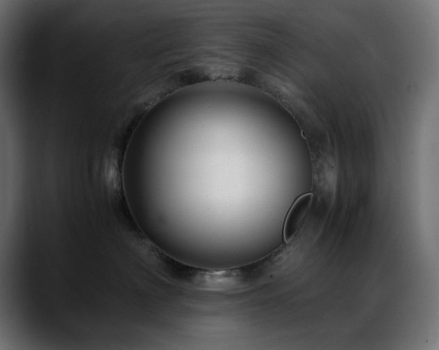 X0000088620622200705251242