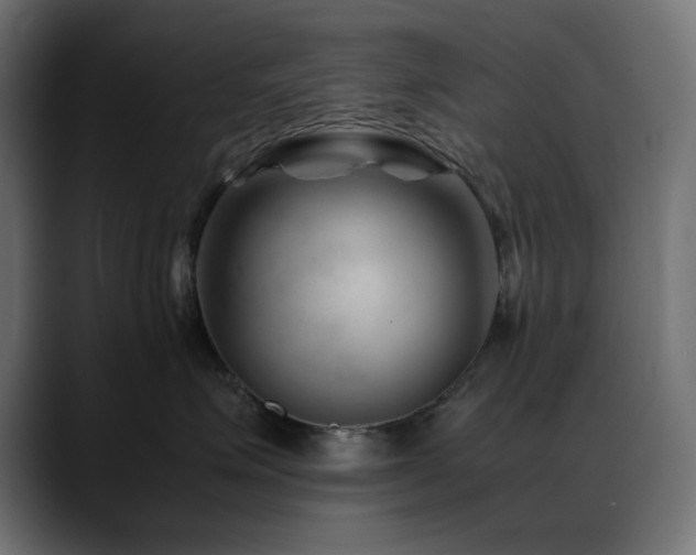 X0000088620623200705251242