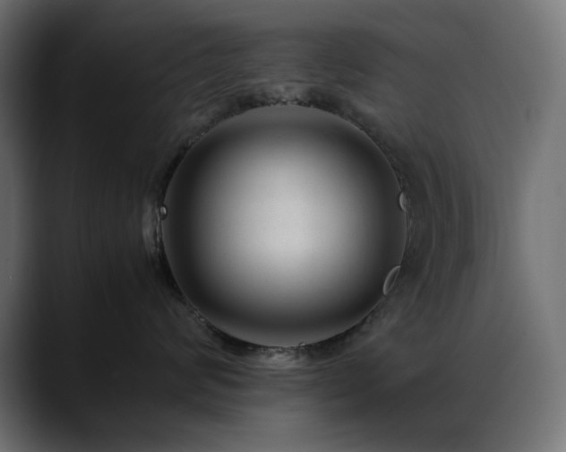 X0000088620624200705251242