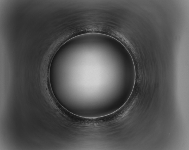 X0000088620625200705251242