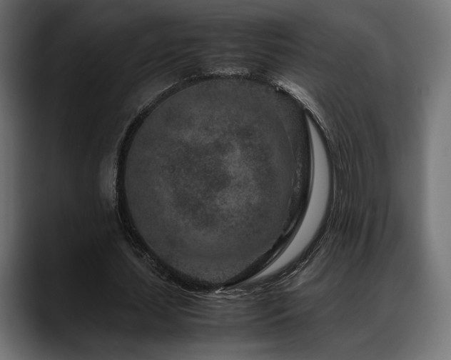X0000088620627200705251242