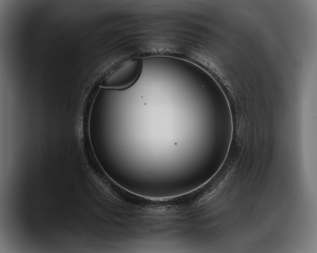 X0000088620629200705251242