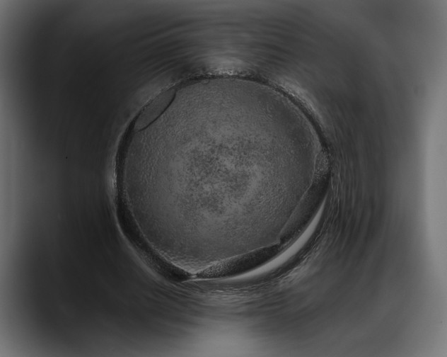 X0000088620630200705251242