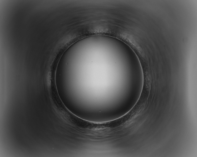 X0000088620631200705251242