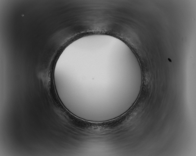 X0000088620632200705251242