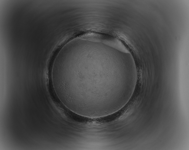 X0000088620634200705251242