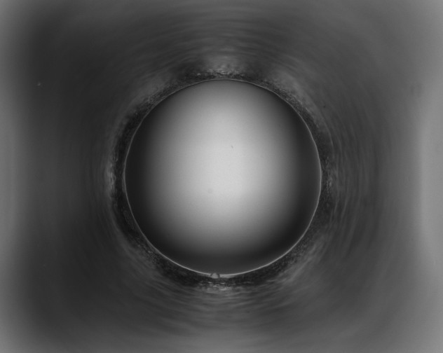 X0000088620635200705251242