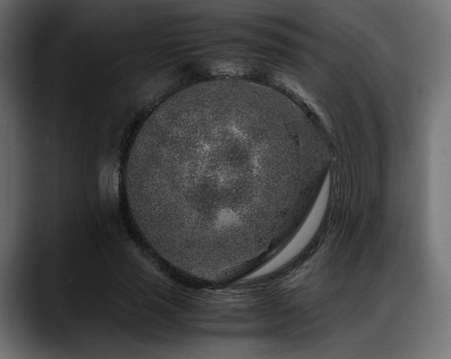 X0000088620637200705251242